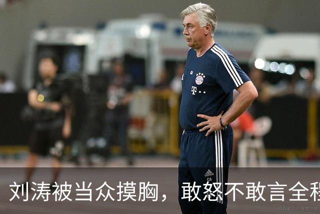 刘涛被当众摸胸，敢怒不敢言全程陪笑