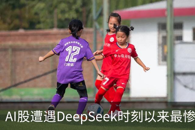 AI股遭遇DeepSeek时刻以来最惨一跌！高盛动量组合抹去全年涨幅，半导体指数逼近年线